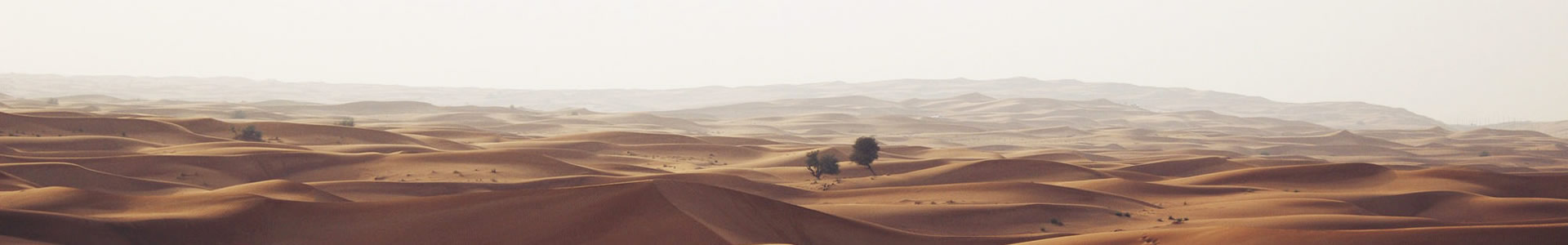 ŷ˹ٿƼ޹˾